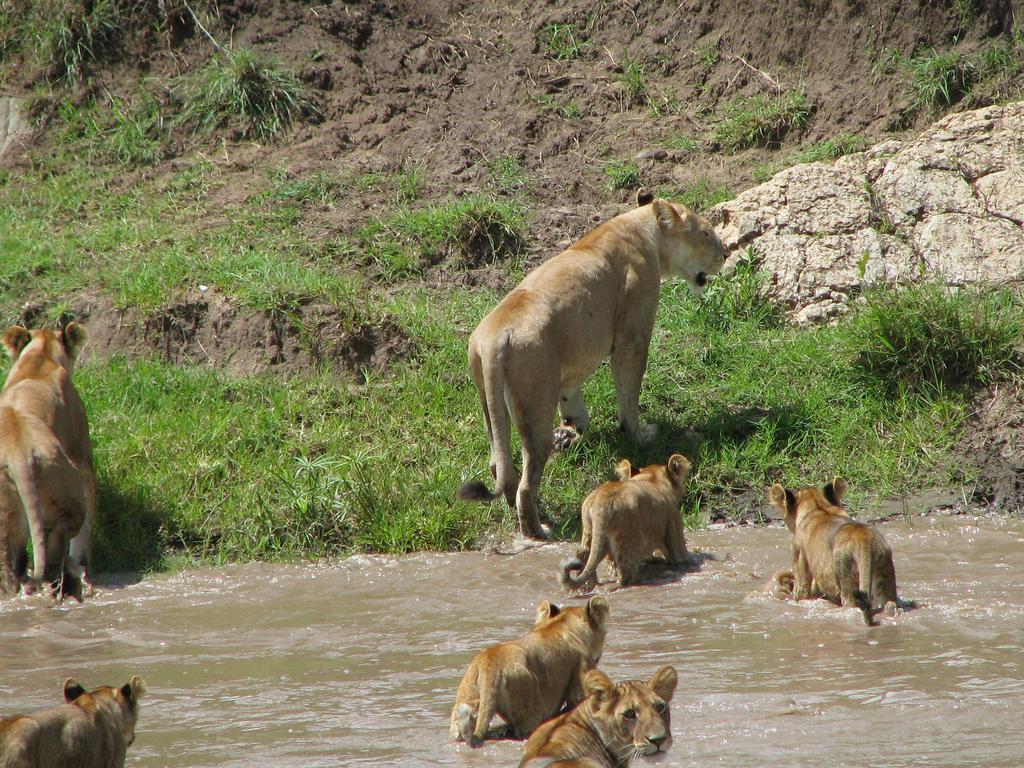 Hotel Maasai Simba Camp Amboseli Esterno foto