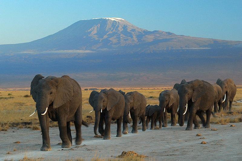 Hotel Maasai Simba Camp Amboseli Esterno foto